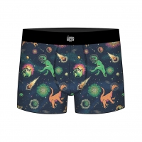 space dino boxer brief