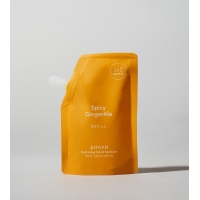 refill netejador de mans Spicy Ginger Ale 100ml