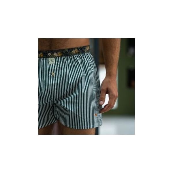 boxer short green stripes