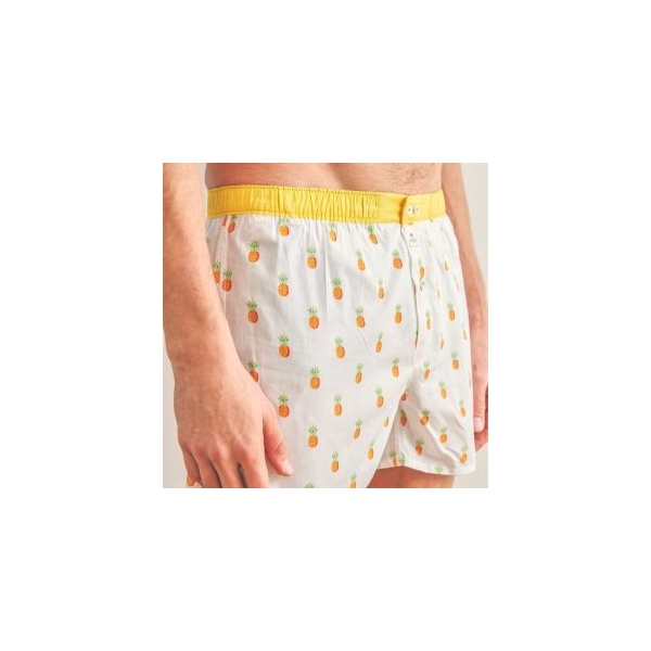 boxer fruity pineapple