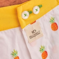 boxer fruity pineapple