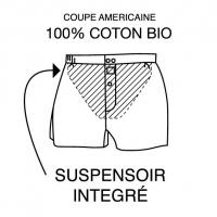 boxer fruity pineapple