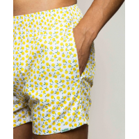 boxer short lemons groc