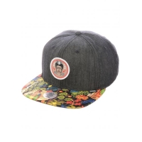 6-panel snapback frida rev
