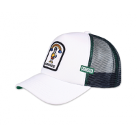 trucker cap old and skate