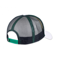 trucker cap old and skate