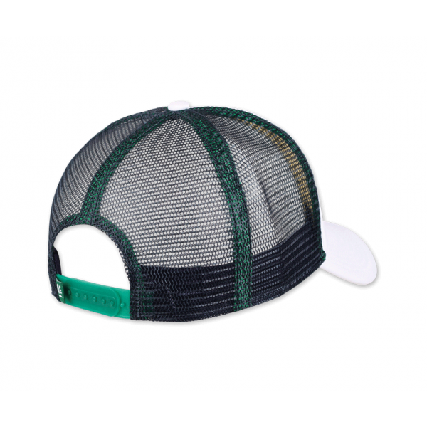 trucker cap old and skate