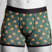 bamboo boxer foxes