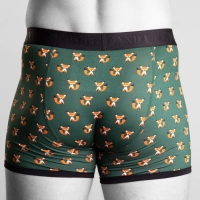 bamboo boxer foxes