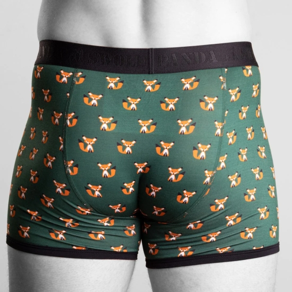 bamboo boxer foxes