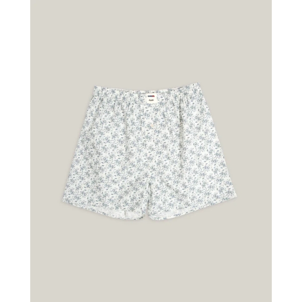 boxer dragon ball goku