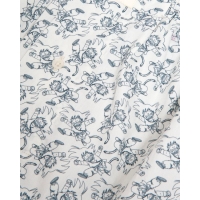 boxer dragon ball goku