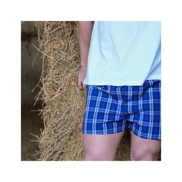boxer short gower quadres blaus