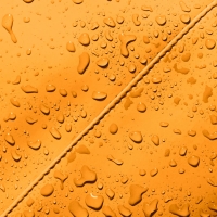 Hajo Medium Lotus Amber