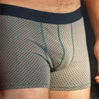 boxer watermelon point