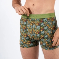 boxer tropical