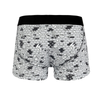 the wall boxer brief