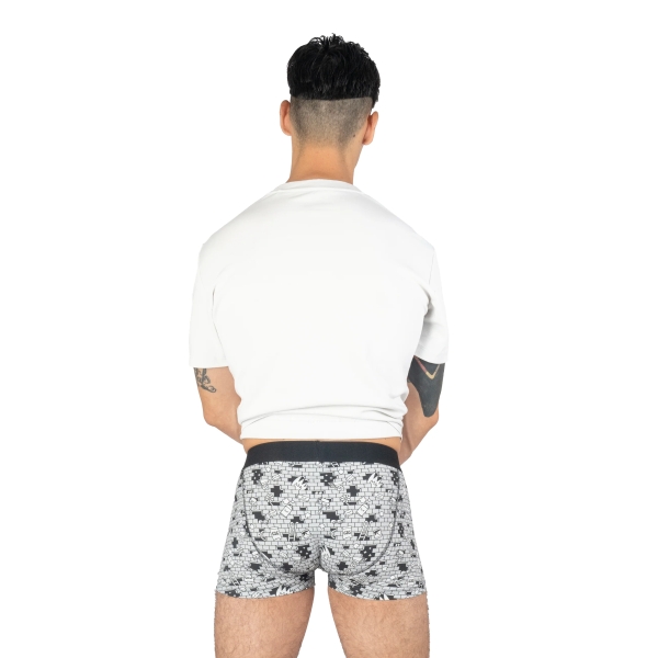 the wall boxer brief