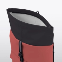 Jasper Mini Aloe Forest