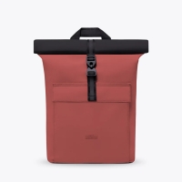 Jasper Mini Aloe Forest