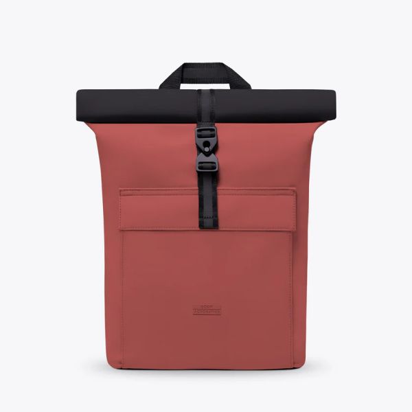 Jasper Mini Aloe Forest