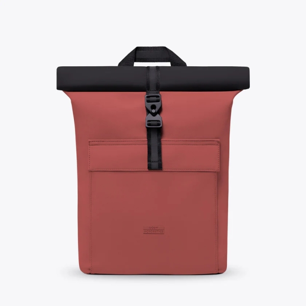 Jasper Mini Aloe Forest