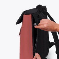 Jasper Mini Aloe Forest