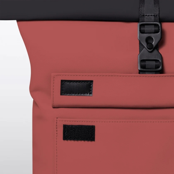 Jasper Mini Aloe Forest