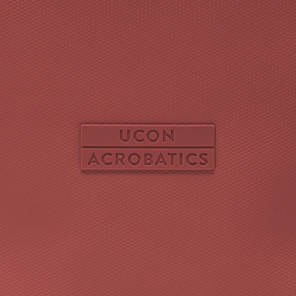 Jasper Mini Aloe Forest