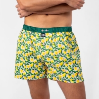 boxer short citrus